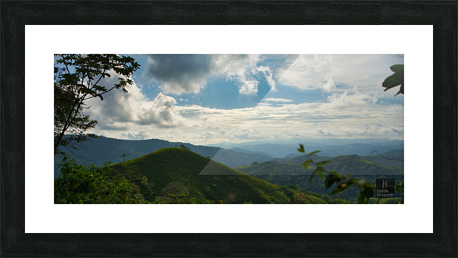 A7404905 Picture Frame print