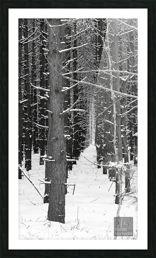 A7405422 2 Picture Frame print