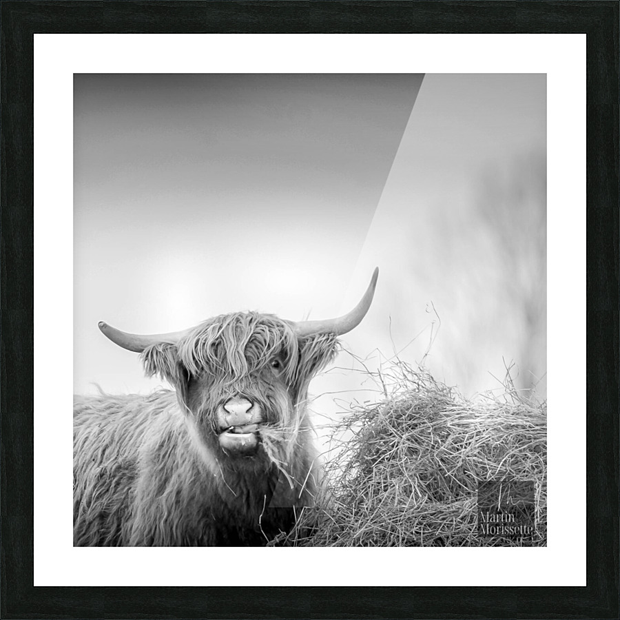 Highland Picture Frame print