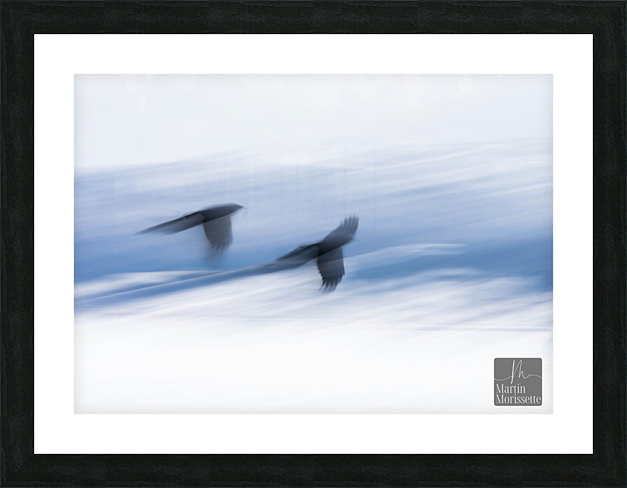 Lenvolee Picture Frame print