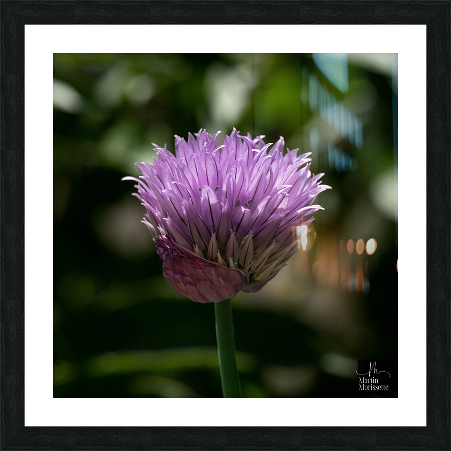 Florail Picture Frame print