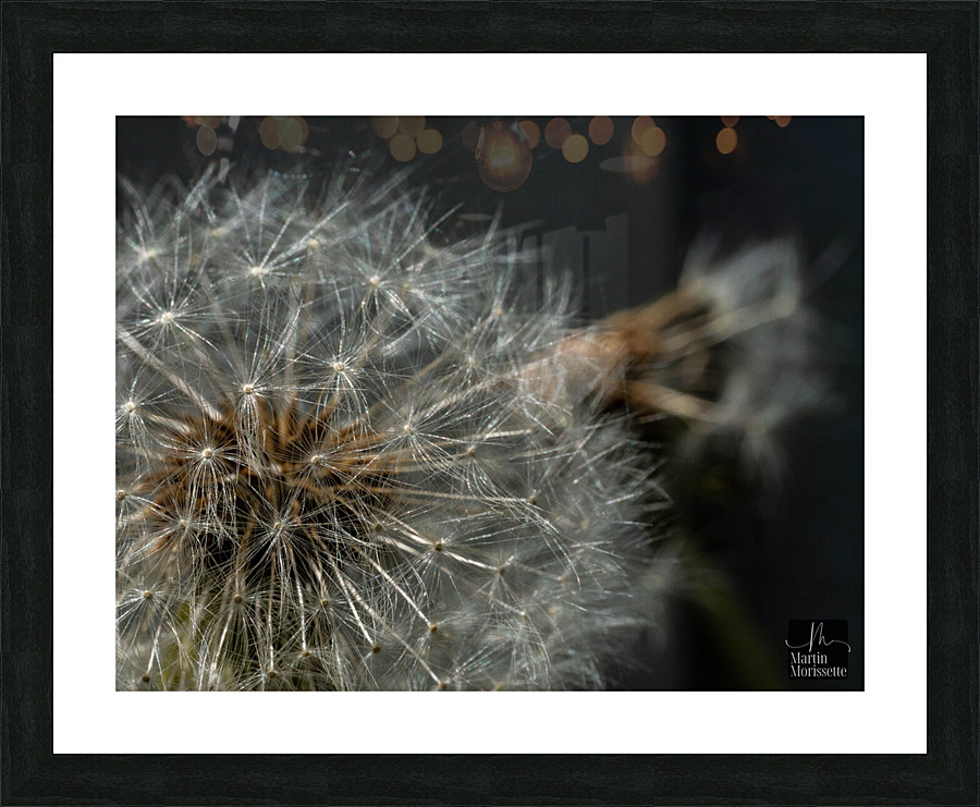 Florail Picture Frame print