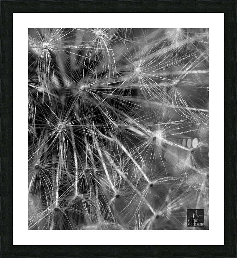 Florail Picture Frame print