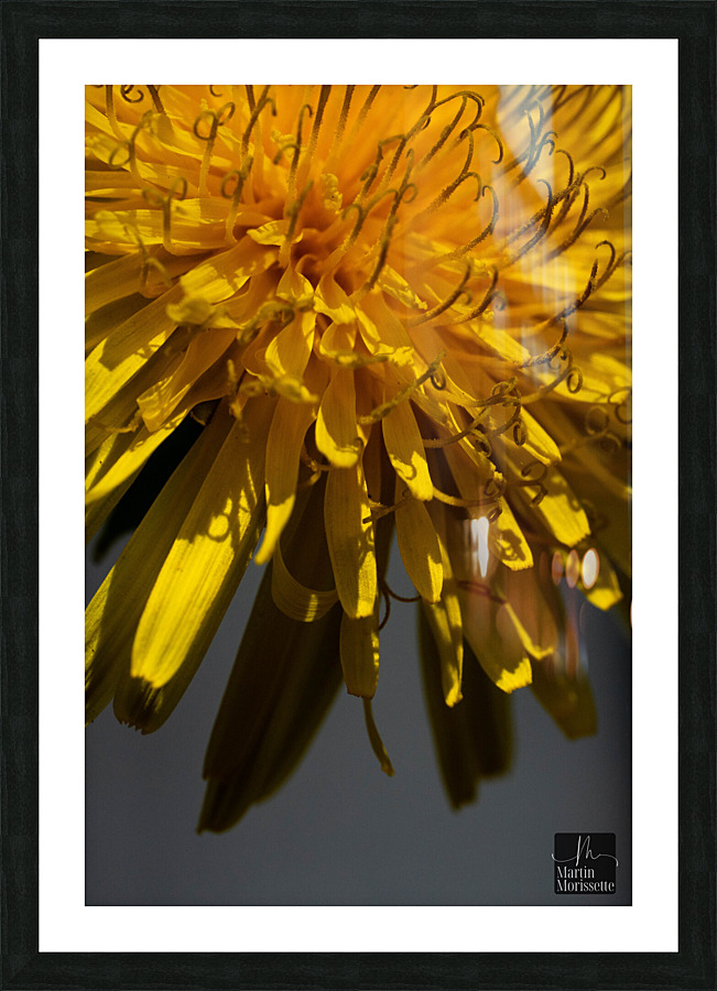 Florail Picture Frame print