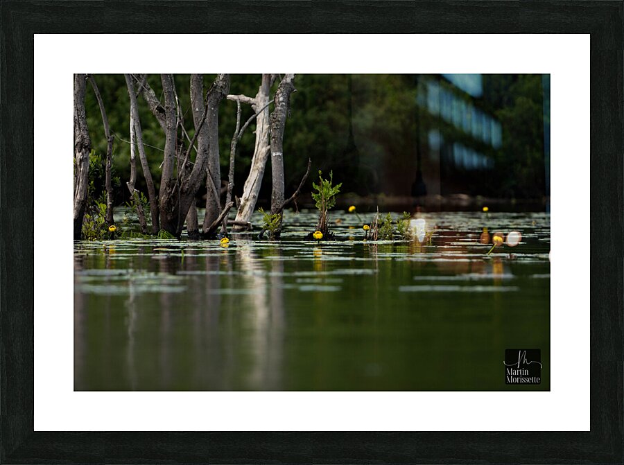 Zen Picture Frame print