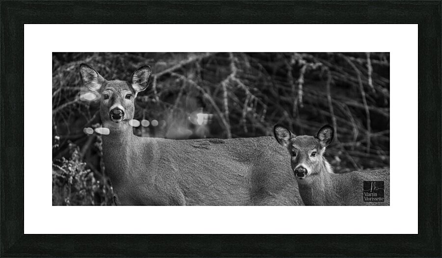 Ensemble  Picture Frame print