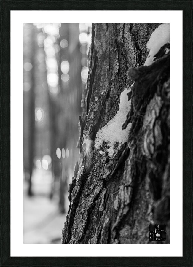 Temps darret  Picture Frame print