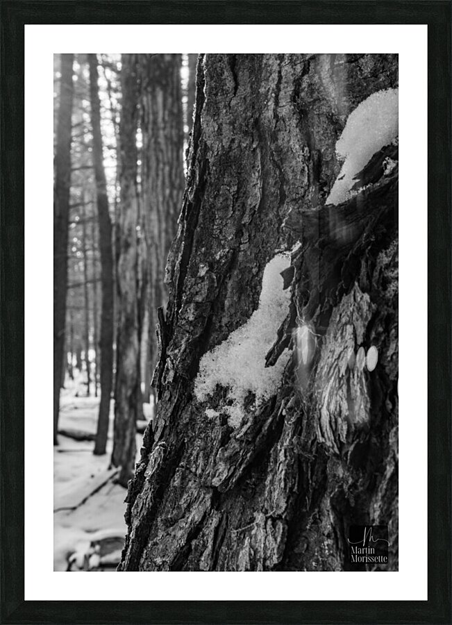 Temps darret 1 Picture Frame print