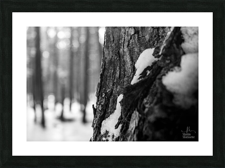 Temps darret 2 Picture Frame print