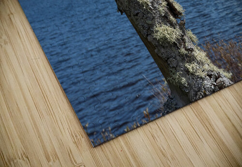 Calme  Martin Morissette puzzle