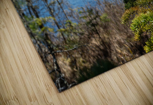 Porte attention   Martin Morissette puzzle