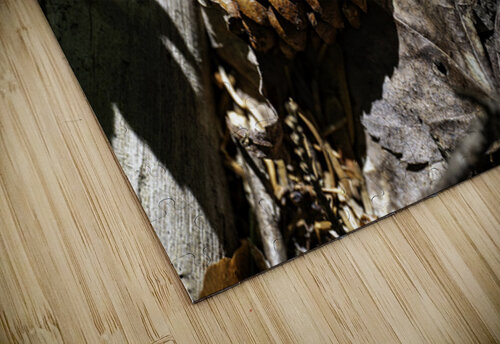 Shut elle dort   Martin Morissette puzzle