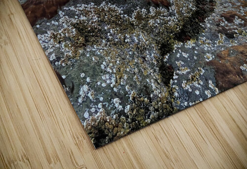 Collection Cote-Nord Martin Morissette puzzle