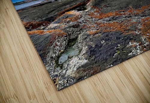 Collection Cote-Nord Martin Morissette puzzle
