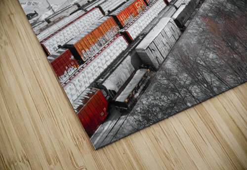 Collection train Martin Morissette puzzle