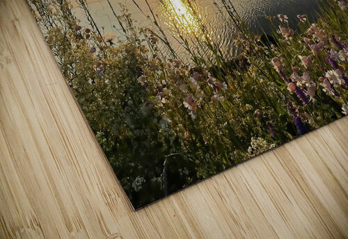 Gaspesie Martin Morissette puzzle