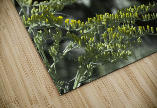Nature paisible Martin Morissette puzzle