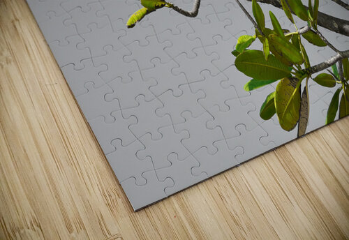 Zen Martin Morissette puzzle