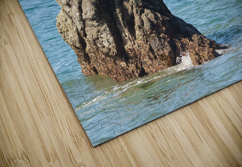 A7403814 Martin Morissette puzzle