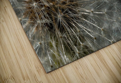 Florail Martin Morissette puzzle