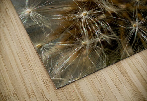 Florail Martin Morissette puzzle