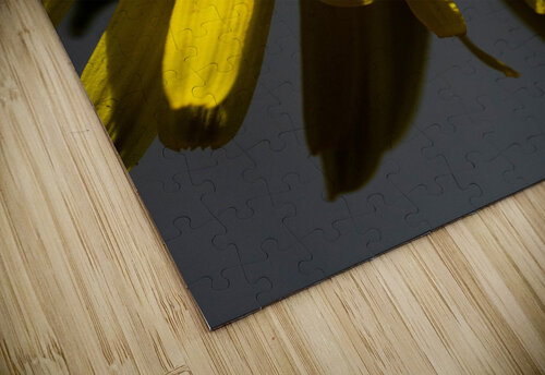 Florail Martin Morissette puzzle