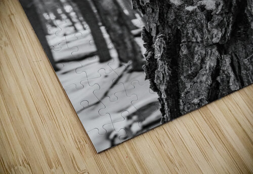 Temps darret 1 Martin Morissette puzzle