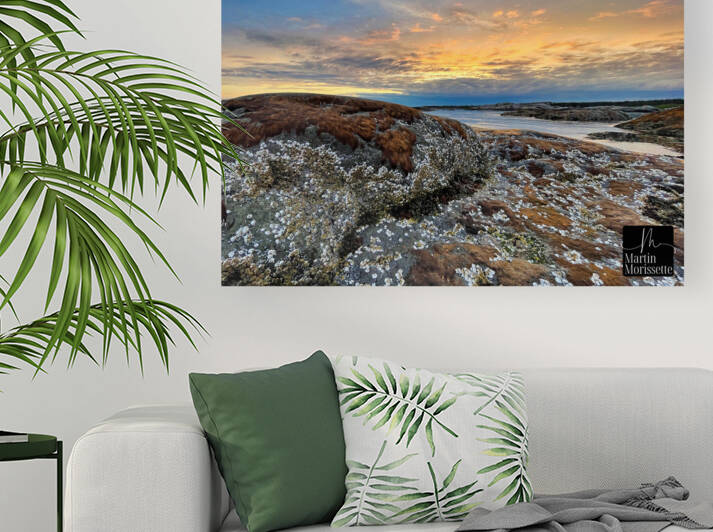 Collection Cote-Nord Reproduction