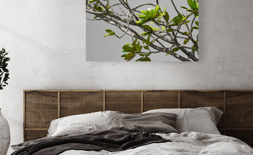 Zen Reproduction