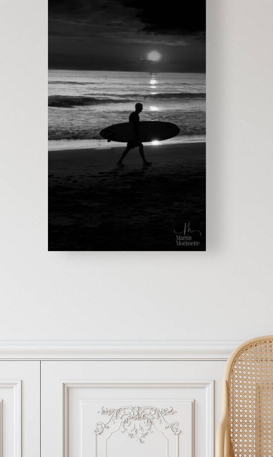 Surf Reproduction