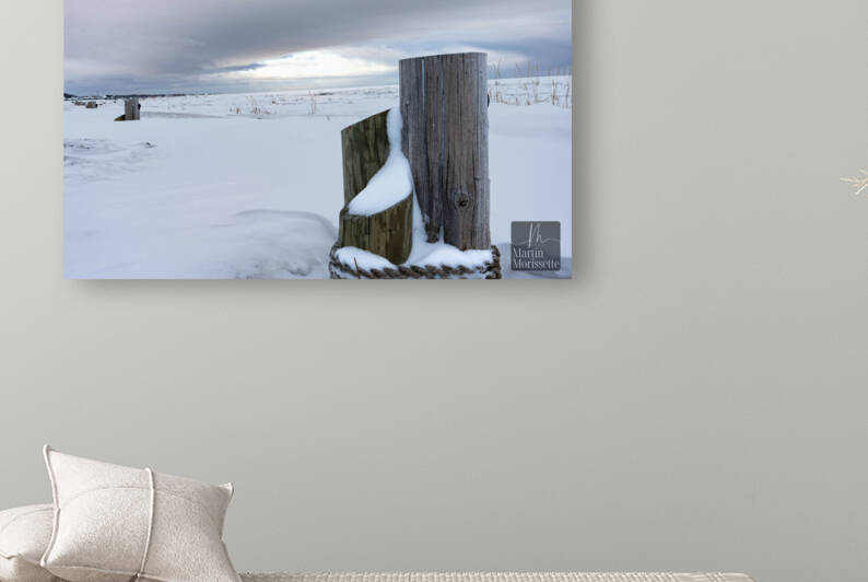 Hiver Gaspesien Reproduction