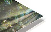 Plenitude HD Metal print