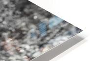 Nature HD Metal print