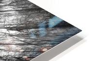 foret tranquille HD Metal print