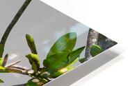 Zen HD Metal print
