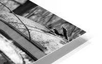Nostalgie16 HD Metal print