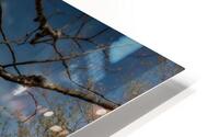 Nostalgie 53 HD Metal print