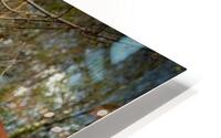 Nostalgie 57 HD Metal print