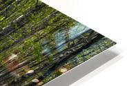 Nostalgie 67 HD Metal print