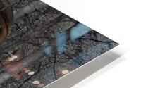 Nostalgie 81 HD Metal print