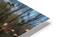 Nostalgie 76 HD Metal print