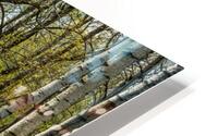 Nostalgie 75 HD Metal print