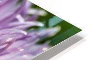Florail  HD Metal print