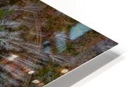 Separation 2 HD Metal print