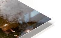Neige  4 HD Metal print