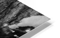Temps darret  HD Metal print