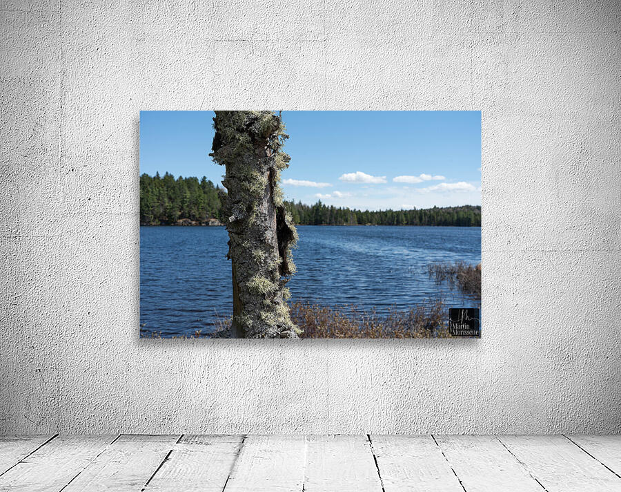 Calme  Wall Preview
