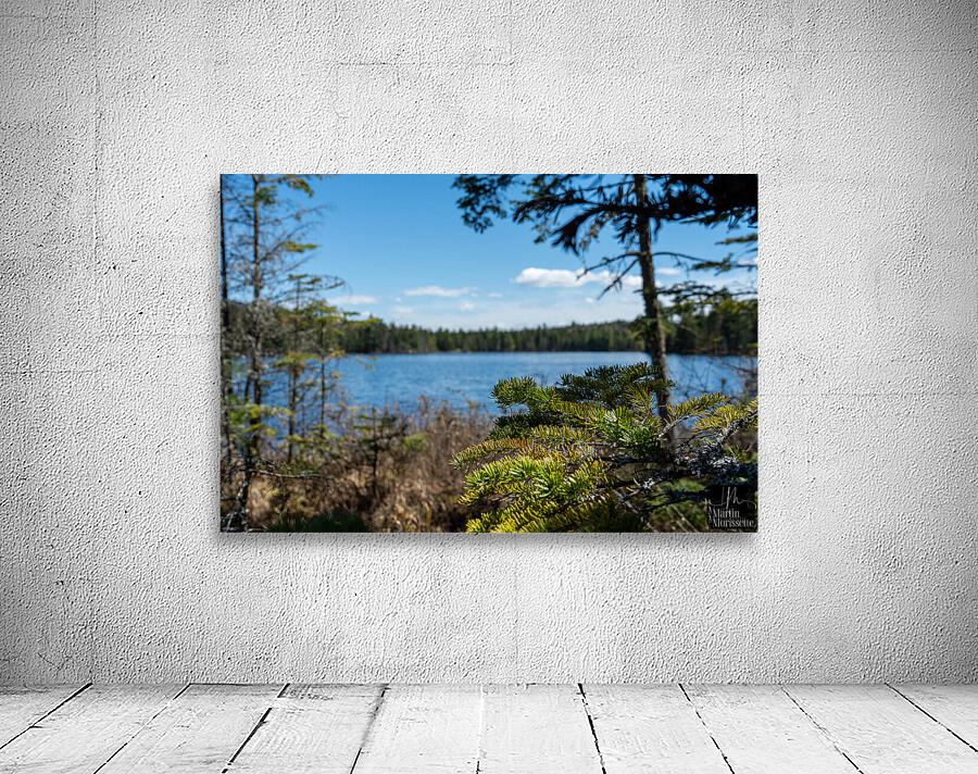 Porte attention   Wall Preview