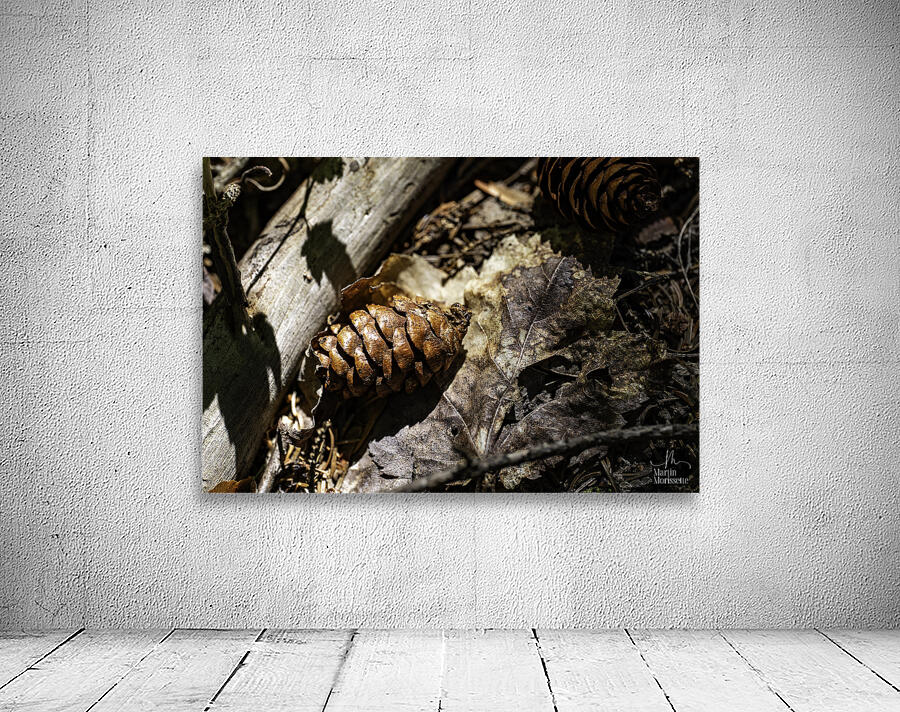 Shut elle dort   Wall Preview