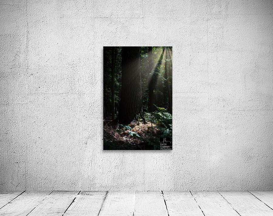 Plenitude Wall Preview
